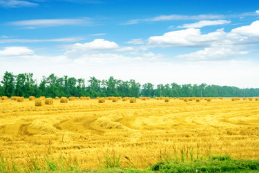 Similar image 733670