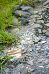 Similar image 733675