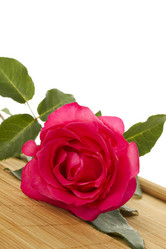 Similar image 733685