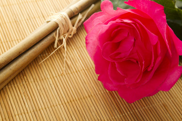 Similar image 733686