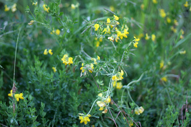 Similar image 733697