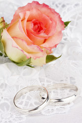 Similar image 733728