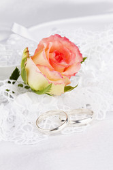 Similar image 733730