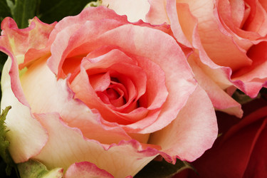 Similar image 733732