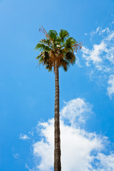 Similar image 733735