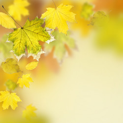 Similar image 733752