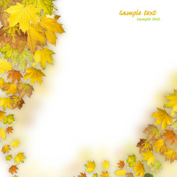 Similar image 733754