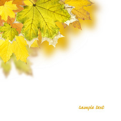 Similar image 733755