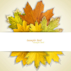 Similar image 733757