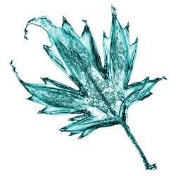 Similar image 733770