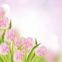 Similar image 733785