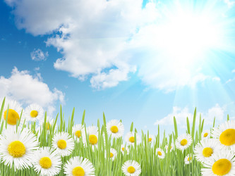 Similar image 733791