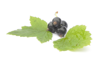 Similar image 733806