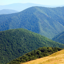 Similar image 733822