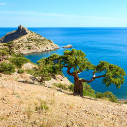 Similar image 733836