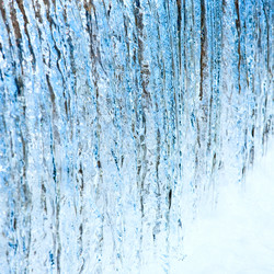 Similar image 733857