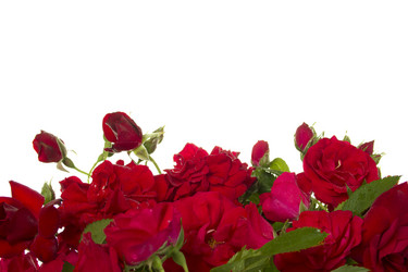 Similar image 733859