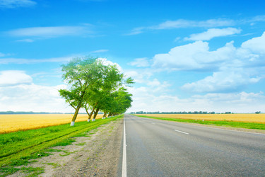 Similar image 733935