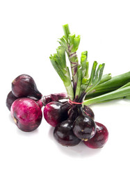 Similar image 733937