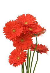 Similar image 733958