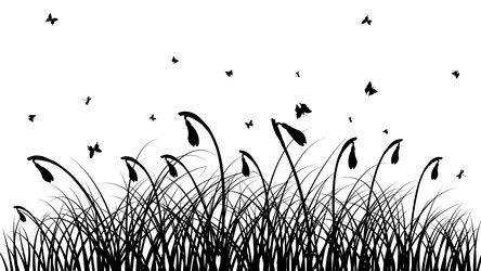 Similar image 733984