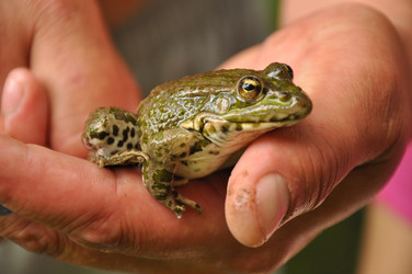 Similar image 734136