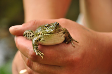 Similar image 734137