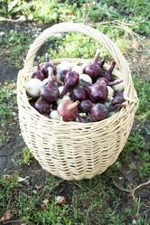 Similar image 734144