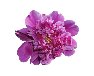 Similar image 734147