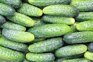 Similar image 734181