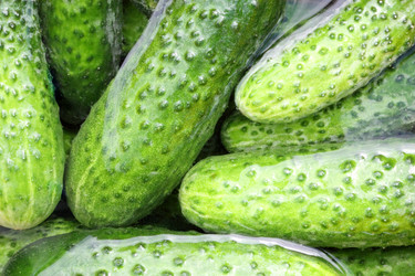 Similar image 734182