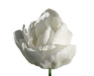 Similar image 734193