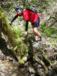 Similar image 734297