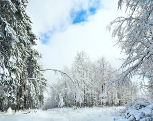 Similar image 734305