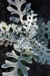 Similar image 734308