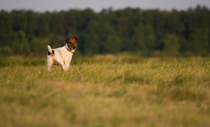 Similar image 734351