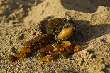 Similar image 734360