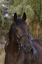 Similar image 734379