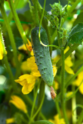 Similar image 734393