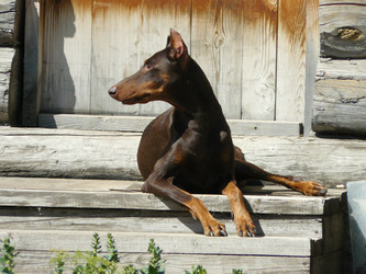 Similar image 734435