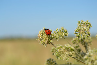 Similar image 734439