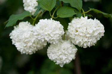 Similar image 734657