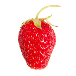 Similar image 734665