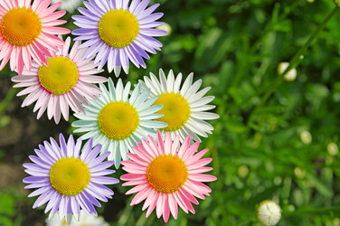 Similar image 734725