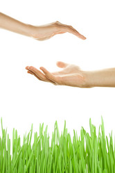 Similar image 734727