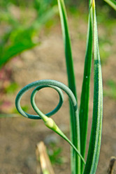 Similar image 734728