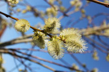 Similar image 734732