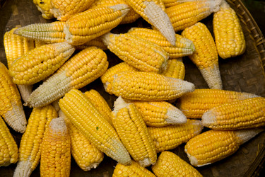 Similar image 734813