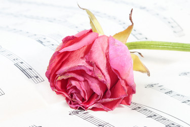 Similar image 734835