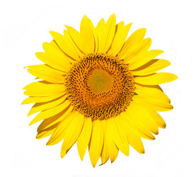 Similar image 734837